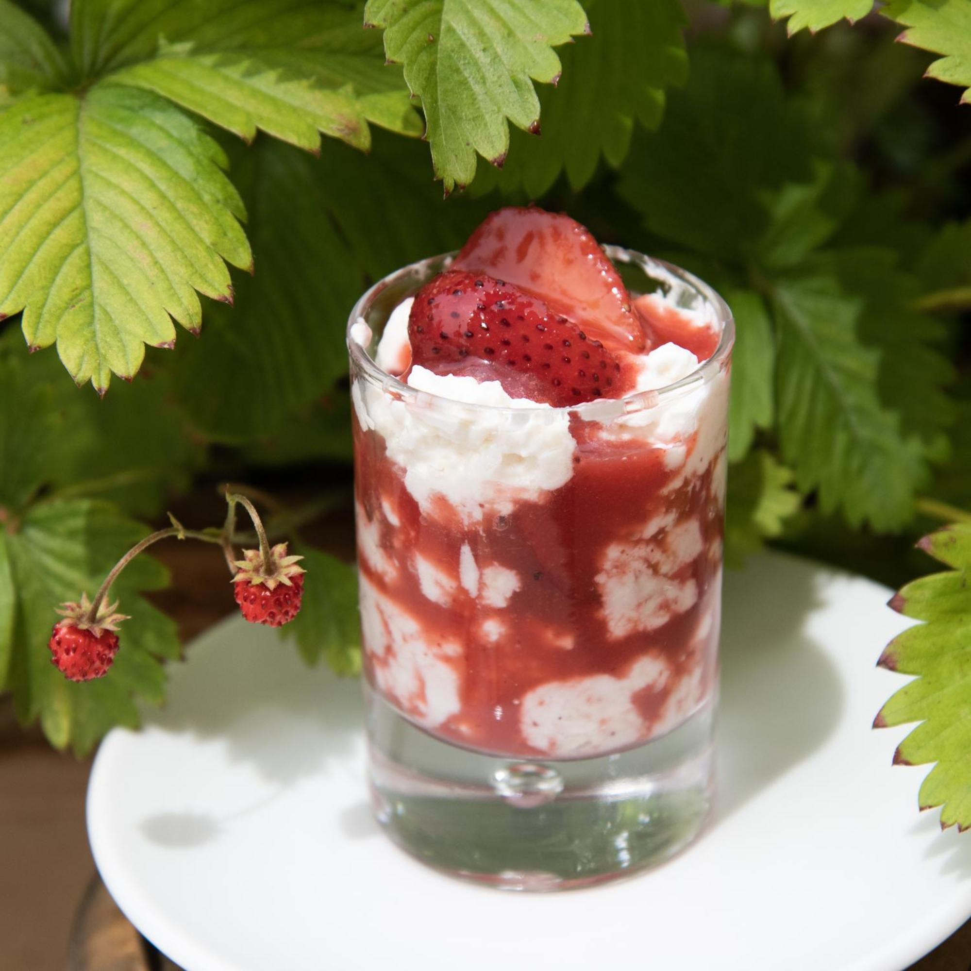 Villa Inglese Picinisco エクステリア 写真